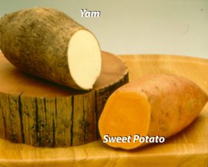 Sweet_Potatoes_Yams