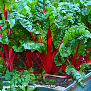 Swiss Chard